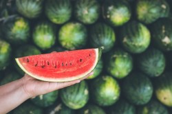 20230523195542_[fpdl.in]_hands-holding-piece-fresh-red-slice-watermelon-heap-background_30478-3360_large